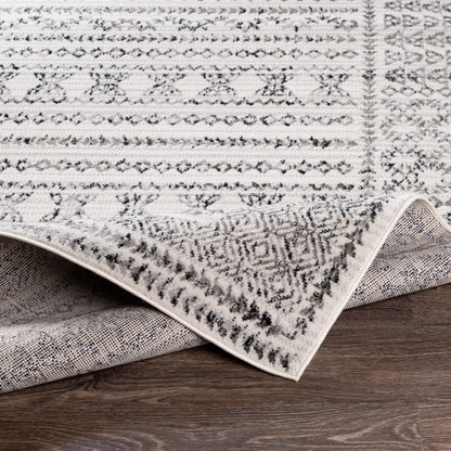 Surya Pisa PSS-2313 Charcoal Area Rug by LIVABLISS