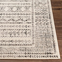 Surya Pisa PSS-2313 Charcoal Area Rug by LIVABLISS