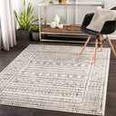 Surya Pisa PSS-2313 Charcoal Area Rug by LIVABLISS