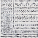 Surya Pisa PSS-2313 Charcoal Area Rug by LIVABLISS