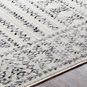 Surya Pisa PSS-2313 Charcoal Area Rug by LIVABLISS