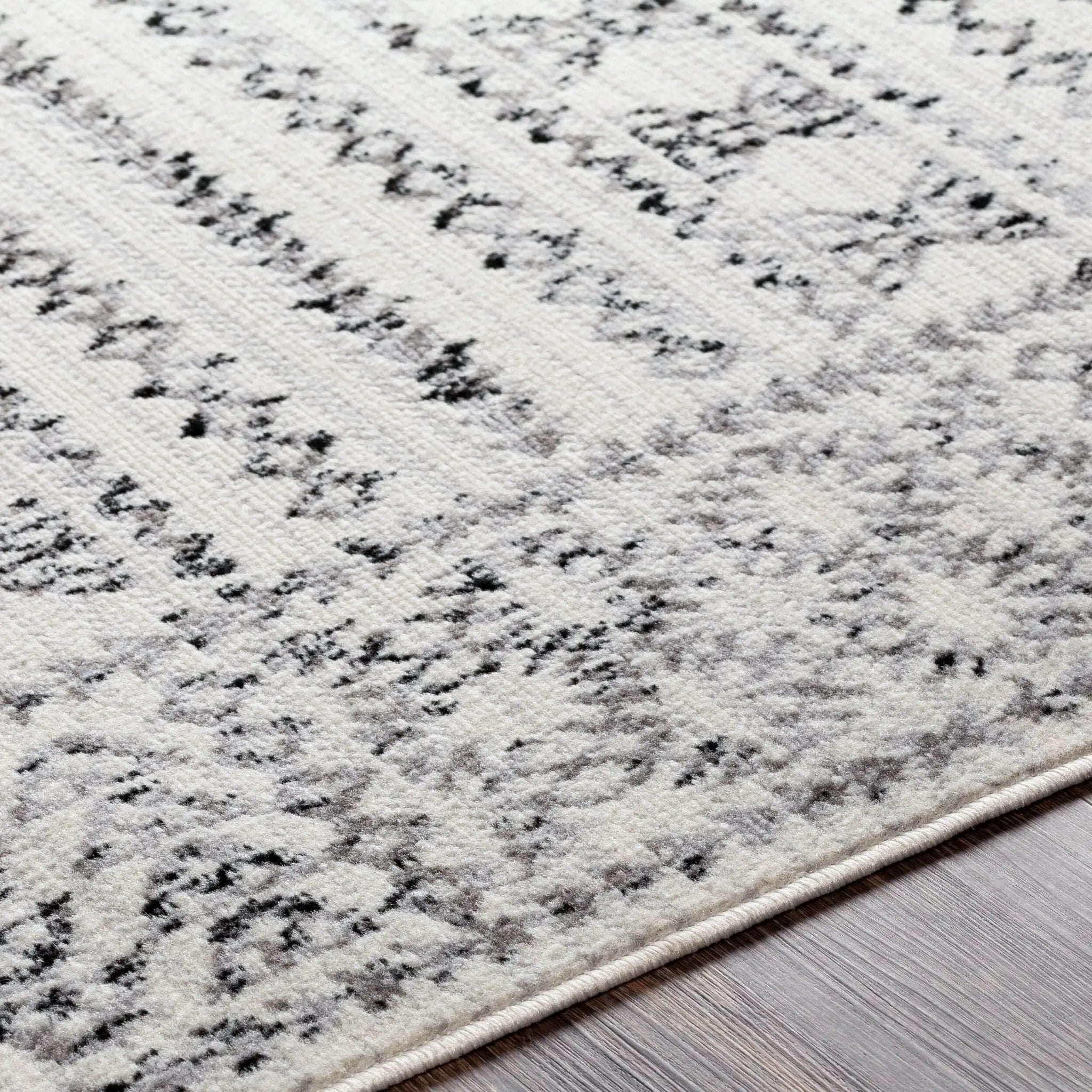 Pisa PSS-2313 Charcoal Area Rug by LIVABLISS
