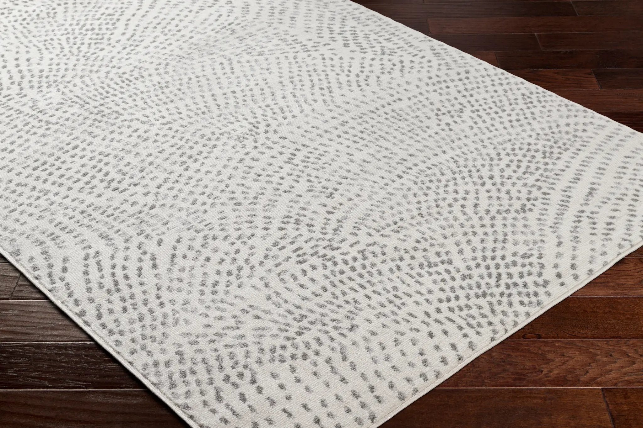 Pisa PSS-2365 Light-Gray Area Rug by LIVABLISS