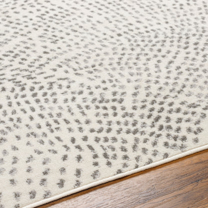 Surya Pisa PSS-2365 Light Gray Area Rug by LIVABLISS