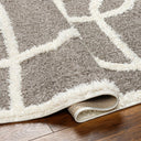 LIVABLISS Rodos RDO-2339 Area Rug