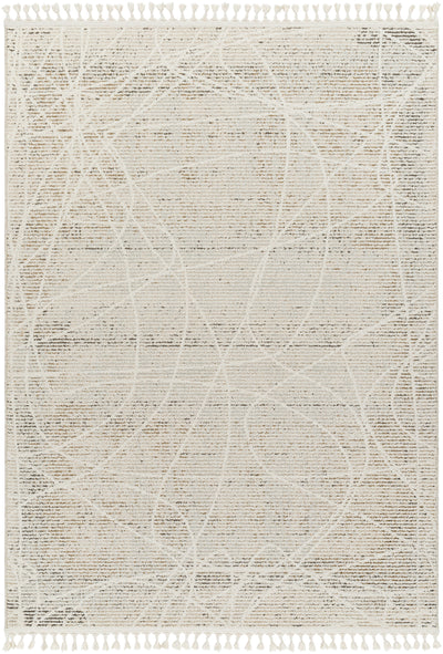 Surya Rudy RDY-2303 Gray Area Rug by LIVABLISS