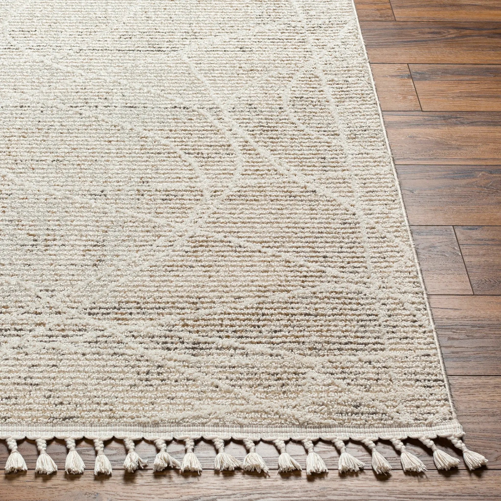 Rudy RDY-2303 Gray Area Rug by LIVABLISS