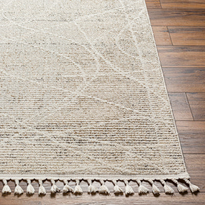 Surya Rudy RDY-2303 Gray Area Rug by LIVABLISS