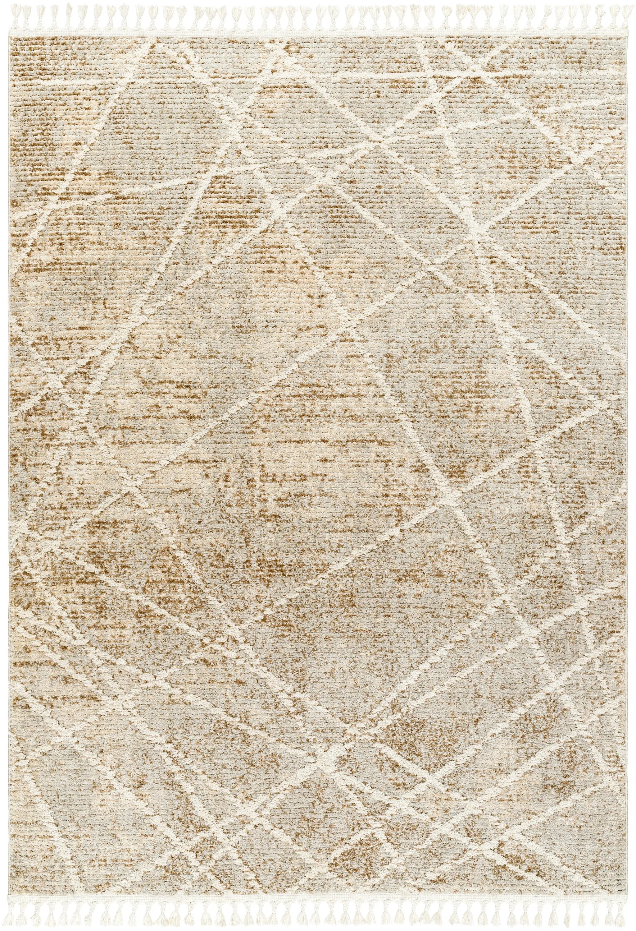 Rudy RDY-2308 Gray Area Rug by LIVABLISS
