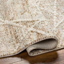 LIVABLISS Rudy RDY-2308 Area Rug