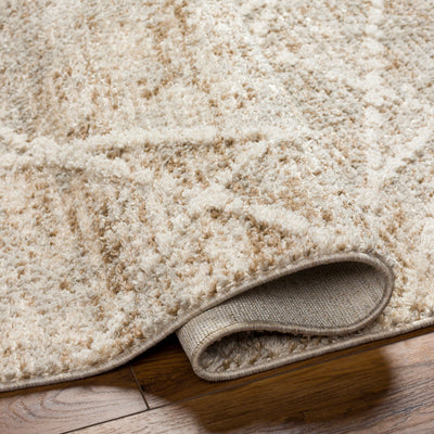 LIVABLISS Rudy RDY-2308 Area Rug
