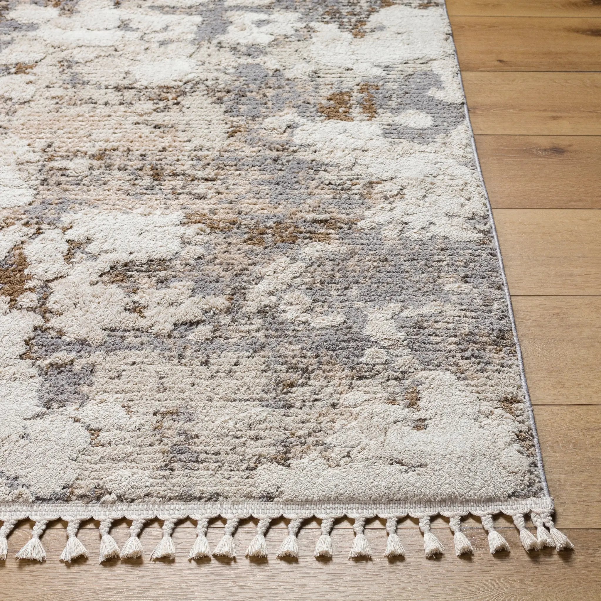 Rudy RDY-2309 Gray Area Rug by LIVABLISS