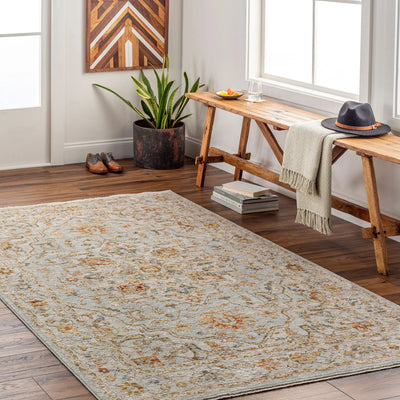 LIVABLISS Reina REN-2304 Light-Gray Area Rug