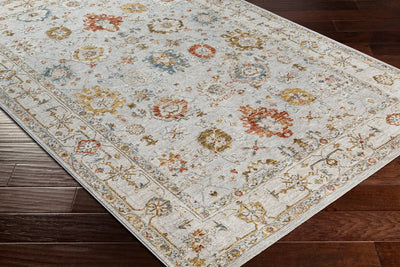 LIVABLISS Reina REN-2307 Light-Gray Area Rug