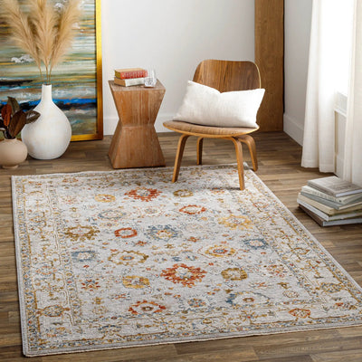 LIVABLISS Reina REN-2307 Light-Gray Area Rug