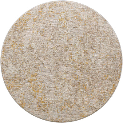 Surya Reina REN-2310 Light Gray Area Rug by LIVABLISS