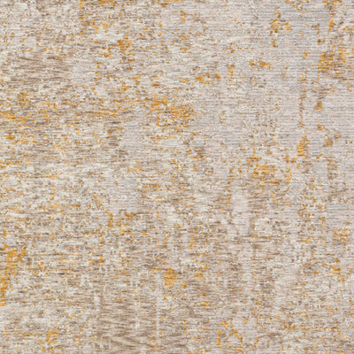 Surya Reina REN-2310 Light Gray Area Rug by LIVABLISS