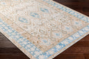 Surya Regen RGE-2304 Cream Machine Washable Area Rug by LIVABLISS