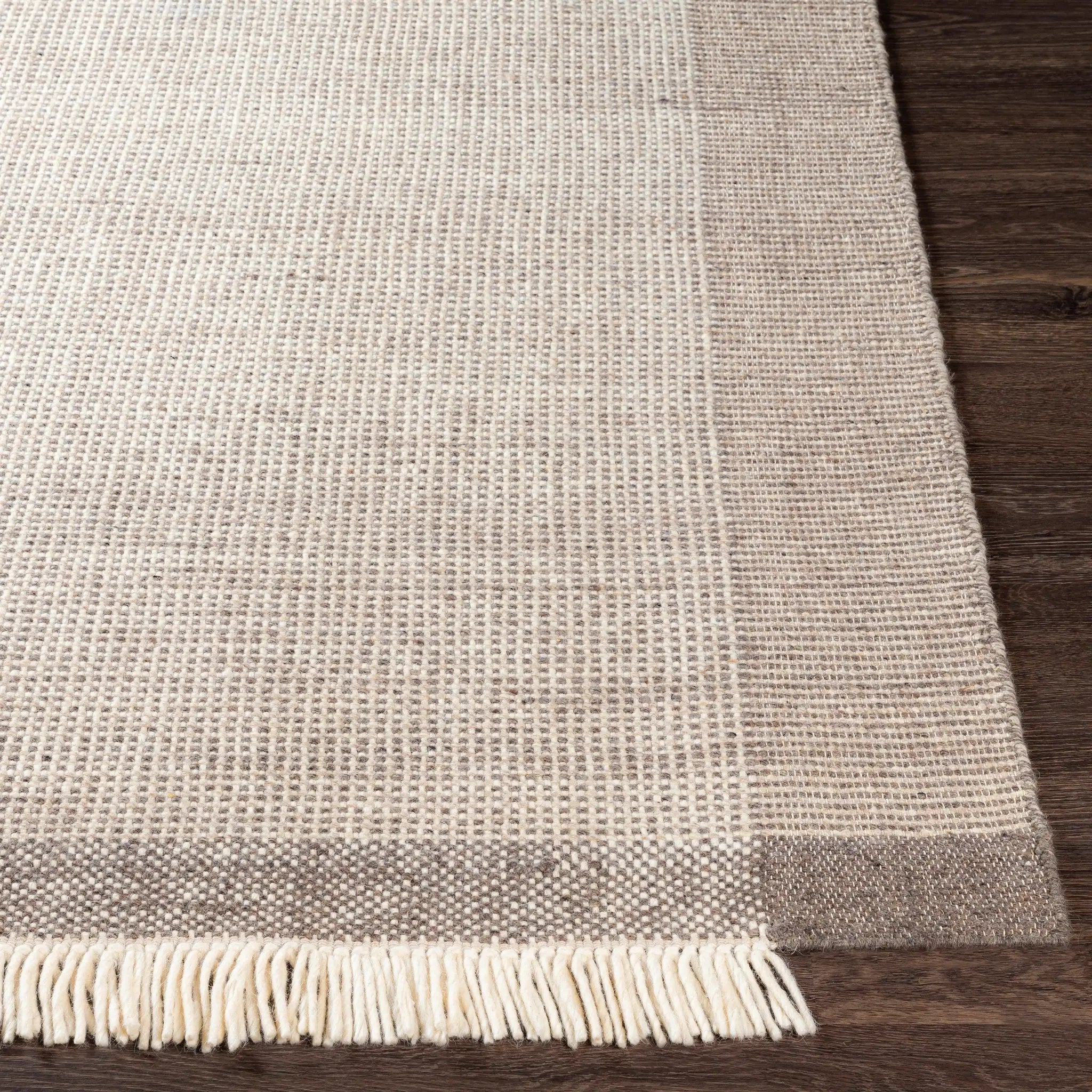 Reliance RLI-2301 Brown Area Rug by LIVABLISS