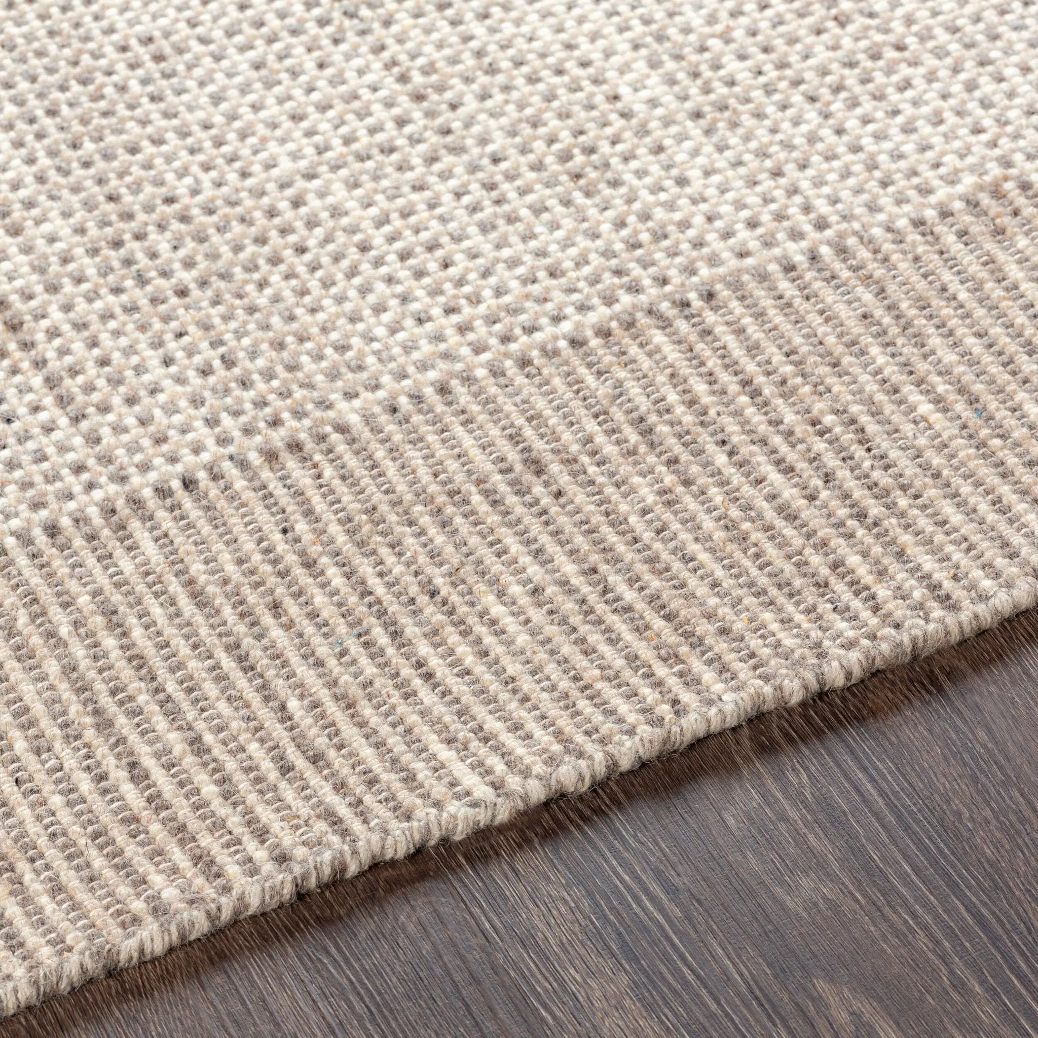 Reliance RLI-2301 Brown Area Rug by LIVABLISS