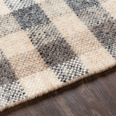 Surya Reliance RLI-2308 Charcoal Area Rug by LIVABLISS