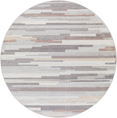 Surya Roma ROM-2302 Gray Area Rug by LIVABLISS