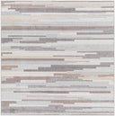 Surya Roma ROM-2302 Gray Area Rug by LIVABLISS