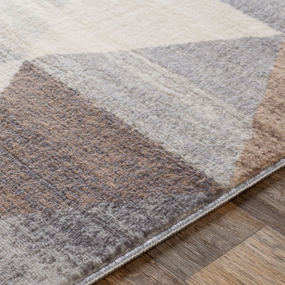 Surya Roma ROM-2303 Gray Area Rug by LIVABLISS