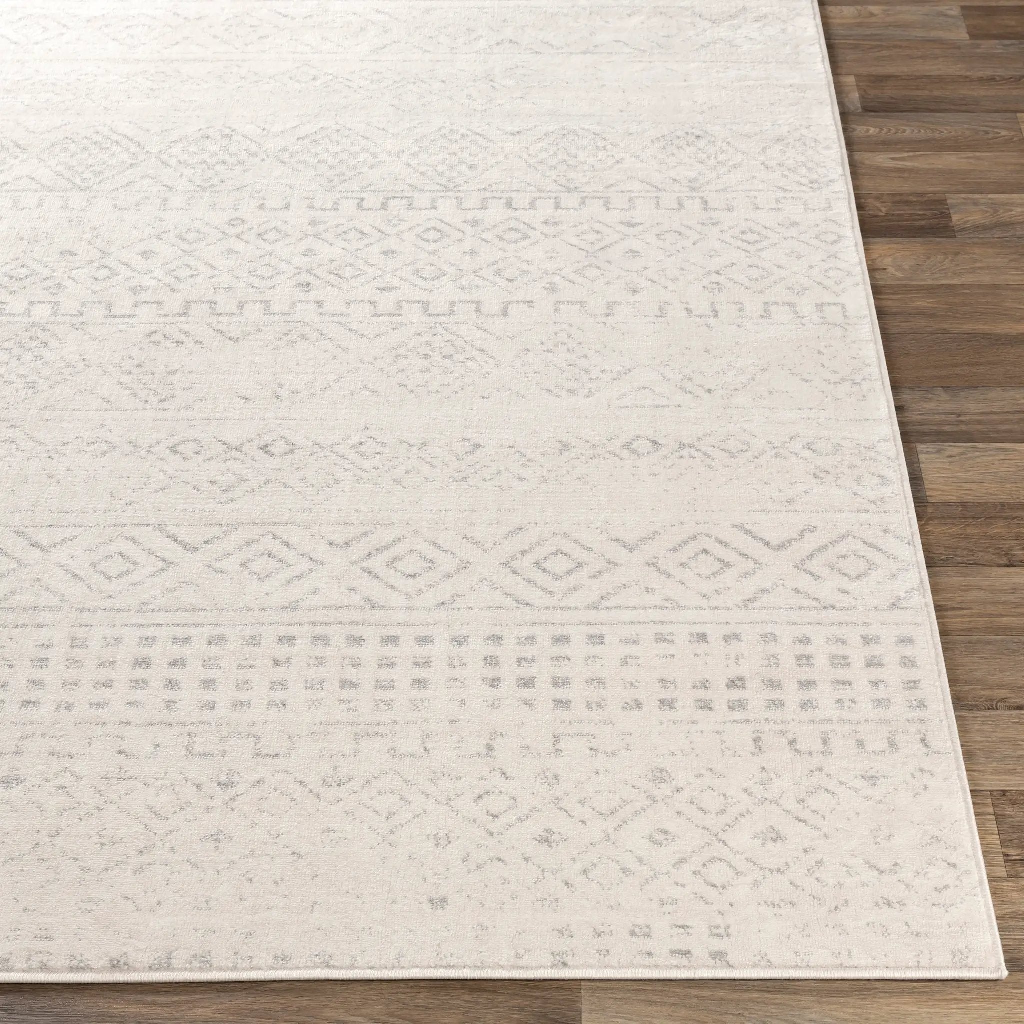 Roma ROM-2341 Gray Area Rug by LIVABLISS