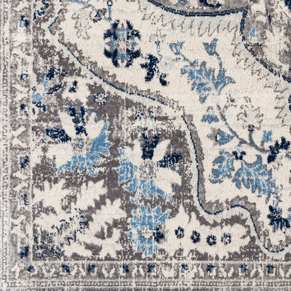 Surya Roma ROM-2359 Blue Area Rug by LIVABLISS