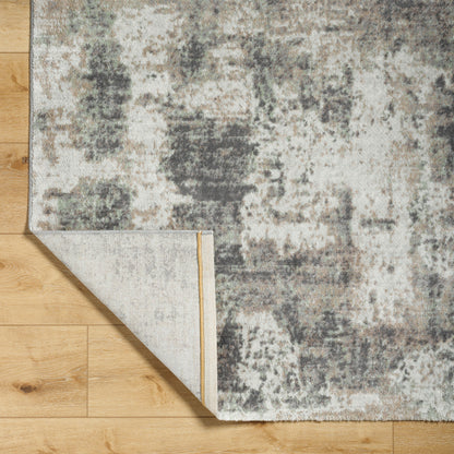 Surya Roma ROM-2408 Light Gray Area Rug by LIVABLISS