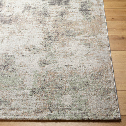 Surya Roma ROM-2408 Light Gray Area Rug by LIVABLISS
