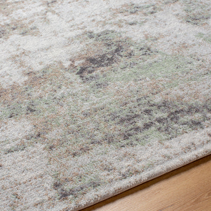 Surya Roma ROM-2408 Light Gray Area Rug by LIVABLISS
