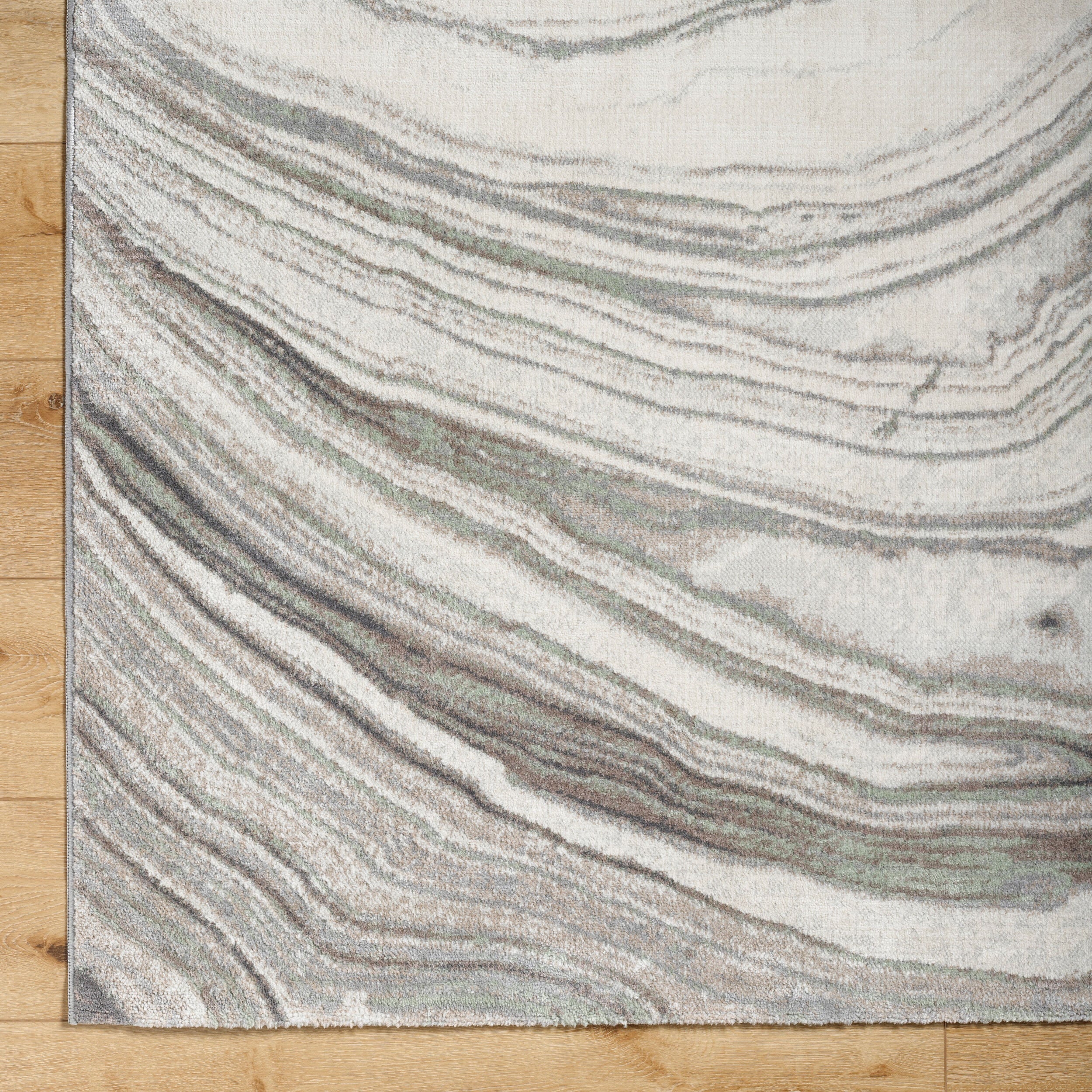 Surya Roma ROM-2409 Cream Area Rug by LIVABLISS