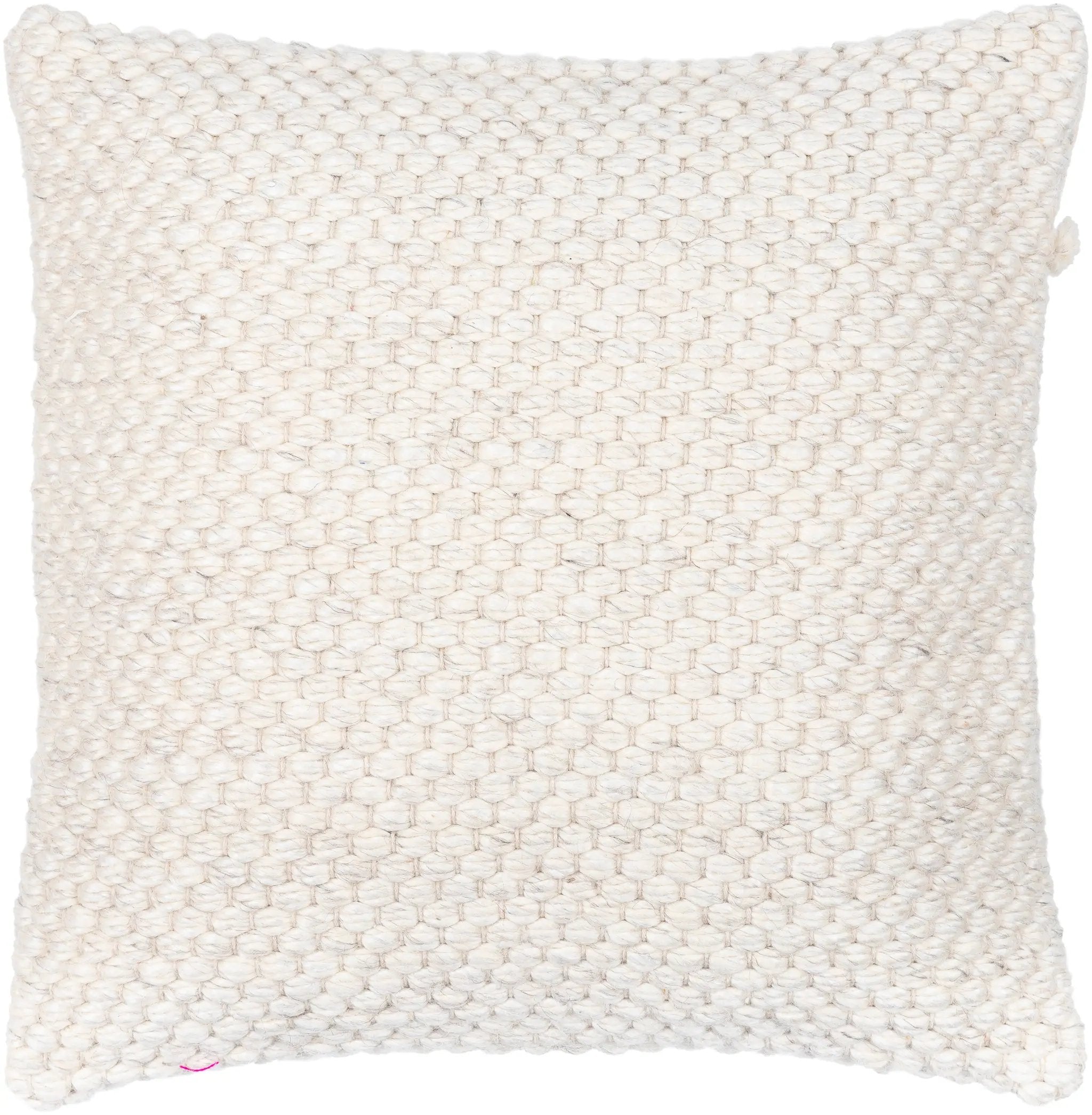 Surya Karrie RRI-001 Accent Pillow by LIVABLISS