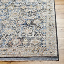 Surya Rivaldo RVD-2306 Cream Area Rug by LIVABLISS