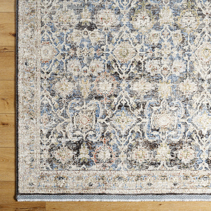 Surya Rivaldo RVD-2306 Cream Area Rug by LIVABLISS