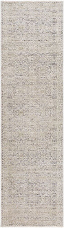 Surya Rivaldo RVD-2311 Cream Area Rug by LIVABLISS