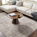 Surya Rivaldo RVD-2312 Cream Area Rug by LIVABLISS