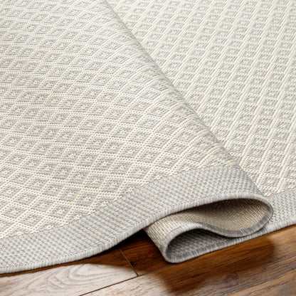Surya Ravello RVL-2388 Light Gray Area Rug by LIVABLISS