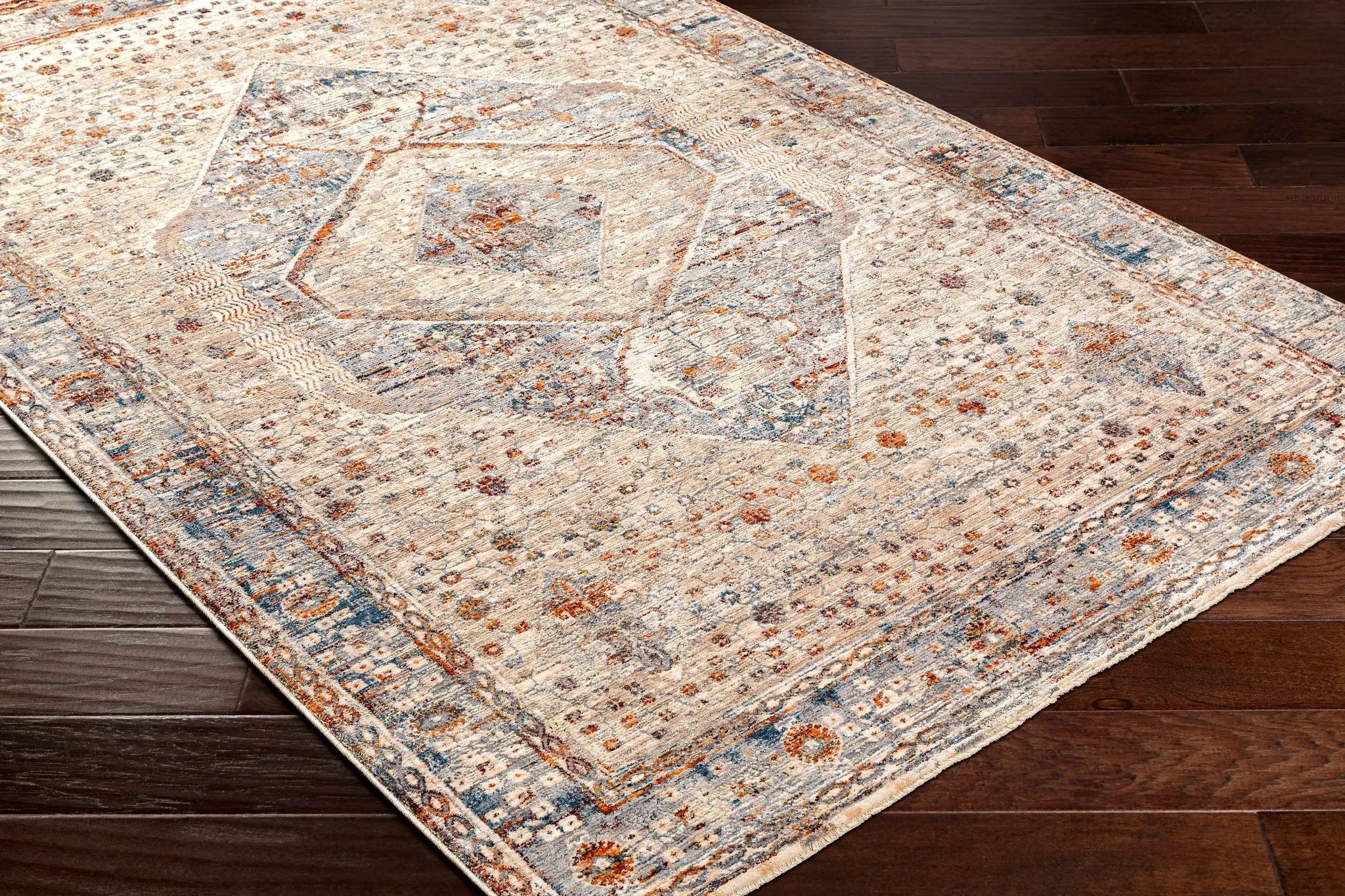 Arya RYA-2305 Medium-Gray Area Rug by LIVABLISS