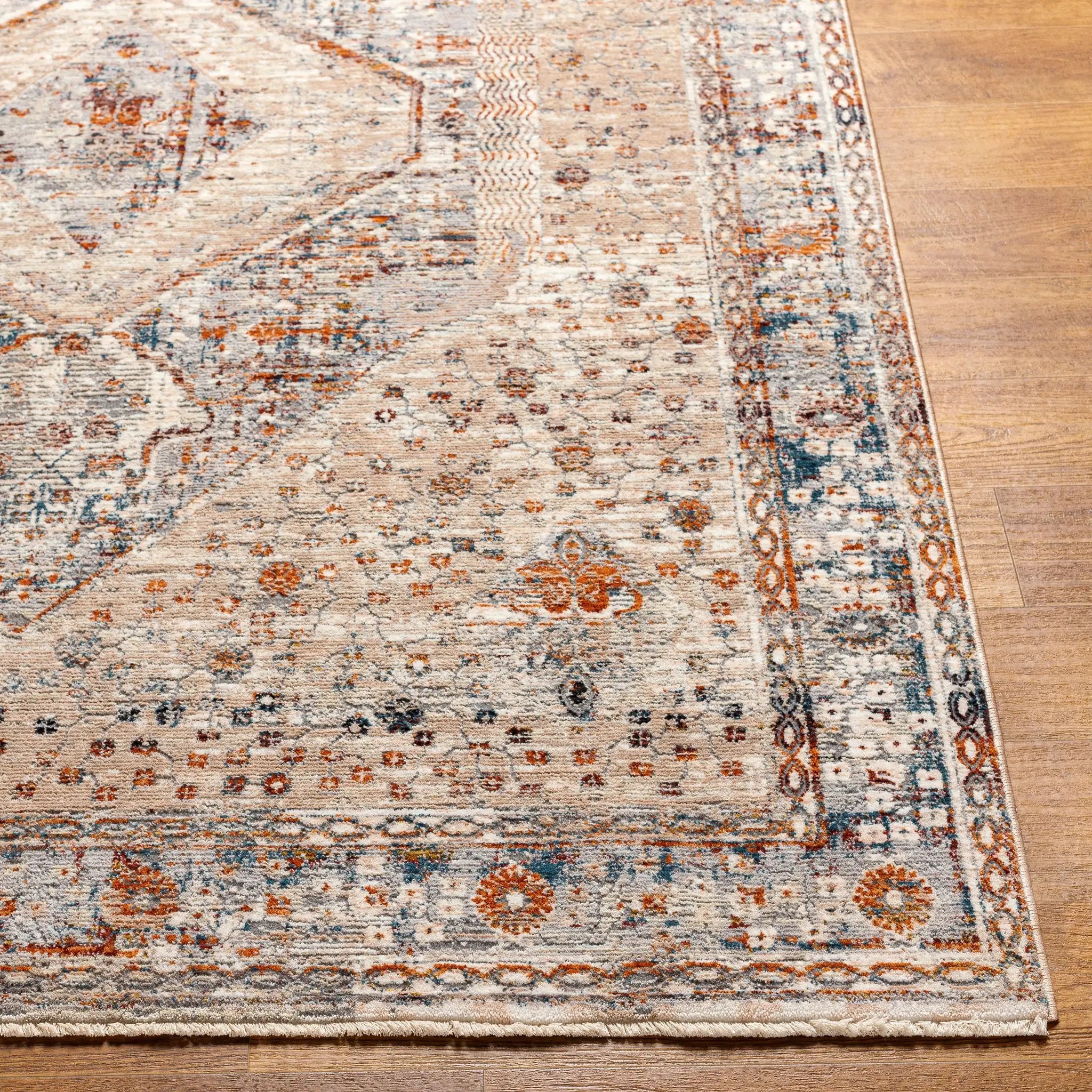 Arya RYA-2305 Medium-Gray Area Rug by LIVABLISS