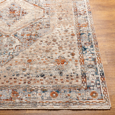 Surya Arya RYA-2305 Medium Gray Area Rug by LIVABLISS
