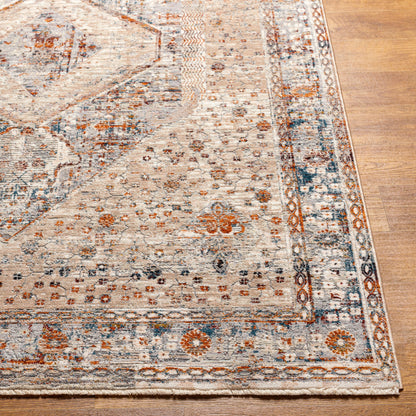 Surya Arya RYA-2305 Medium Gray Area Rug by LIVABLISS