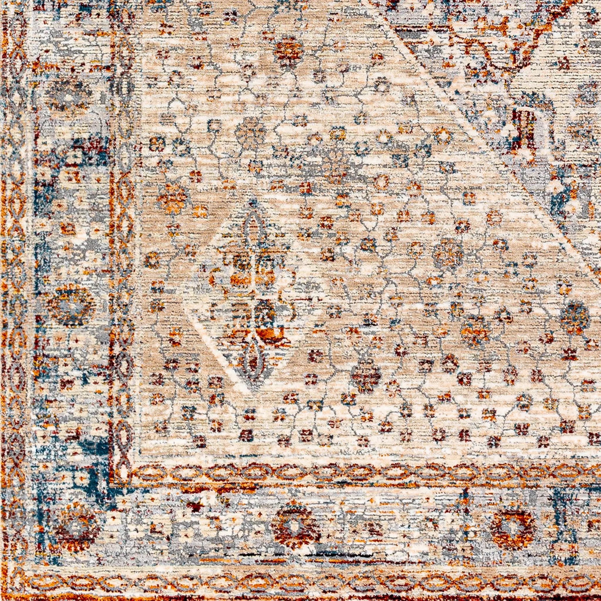 Arya RYA-2305 Medium-Gray Area Rug by LIVABLISS