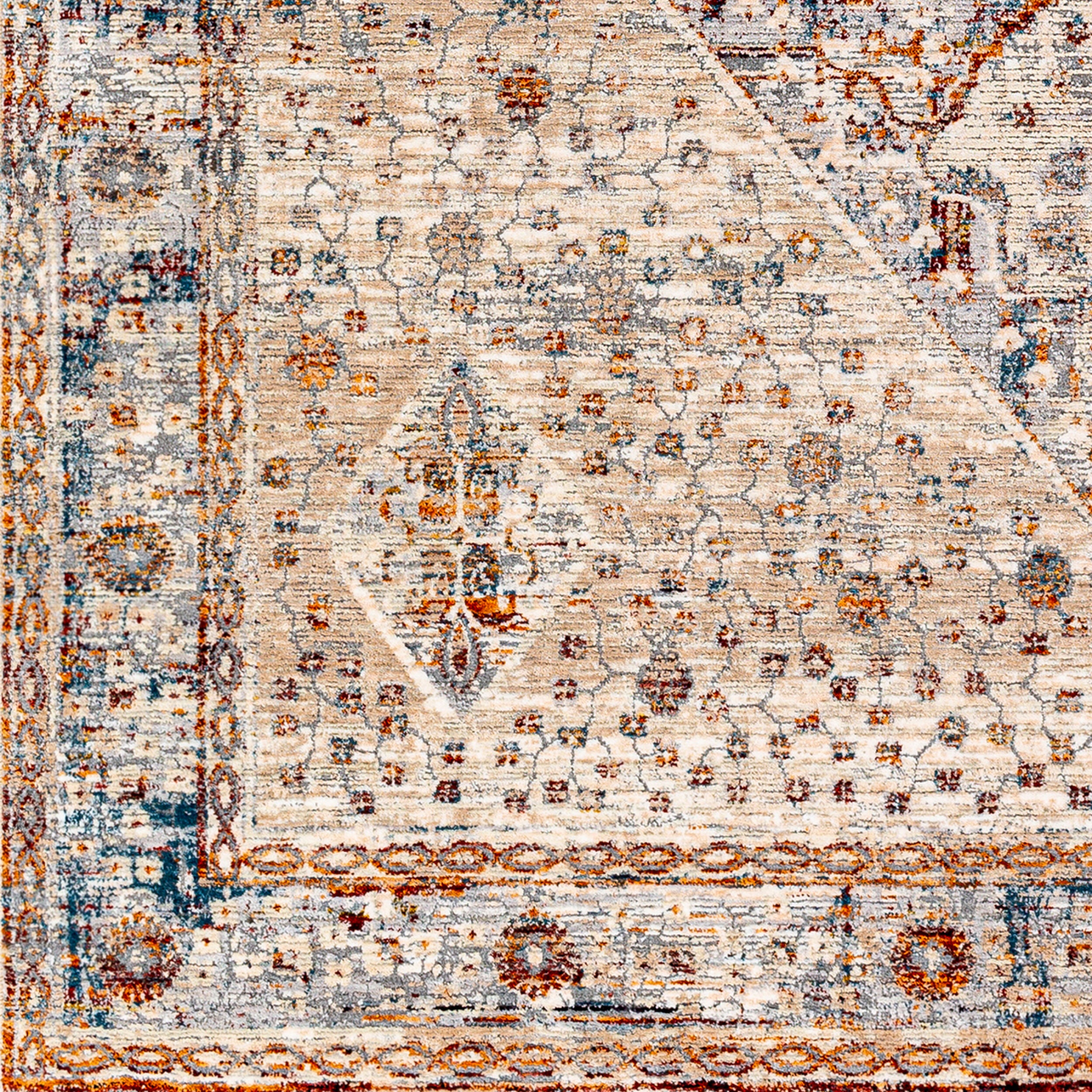 Surya Arya RYA-2305 Medium Gray Area Rug by LIVABLISS