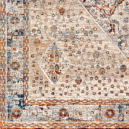 Surya Arya RYA-2305 Medium Gray Area Rug by LIVABLISS