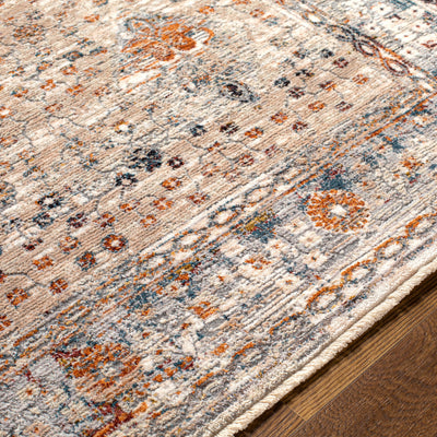 Surya Arya RYA-2305 Medium Gray Area Rug by LIVABLISS
