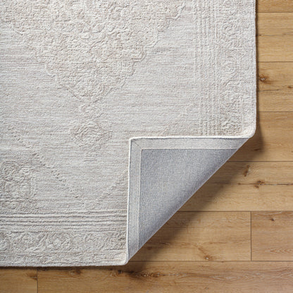 Surya Rize RZE-2303 Ivory Area Rug by LIVABLISS