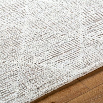 Surya Rize RZE-2306 Ivory Area Rug by LIVABLISS